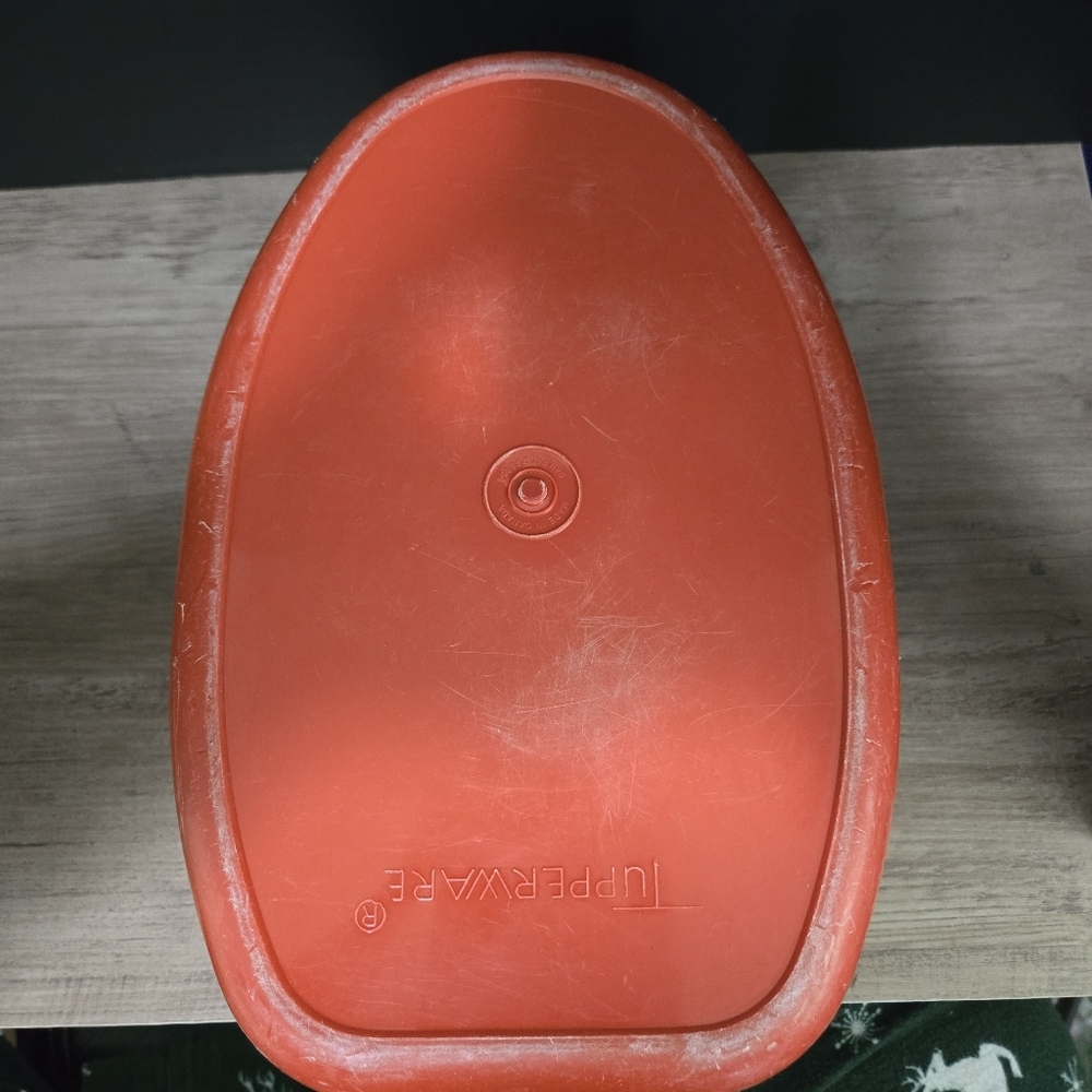 Orange Storage Container with White Lid - Picture 8 of 10